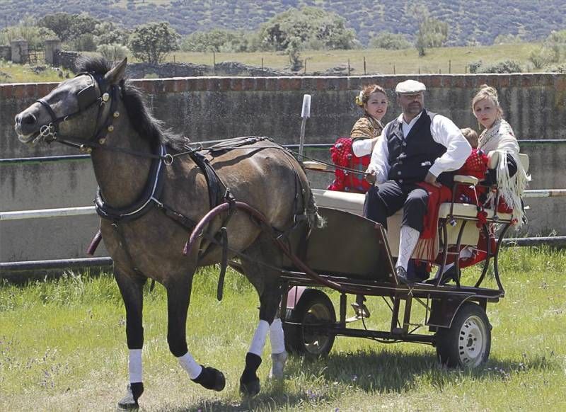 Lunes de Albillo en Monroy