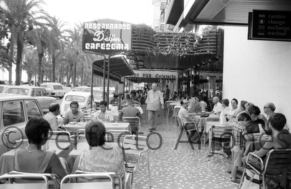 CAFETERIA DELFÍN EN LA EXPLANADA. JULIO 1978.