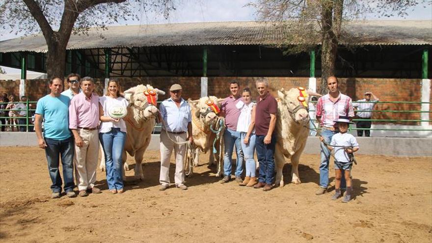 Una gran cita para el profesional