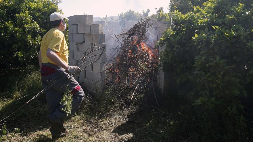 Un agricultor quema los restos de poda de  una finca de naranjos, para lo que hay que tramitar una autorización.