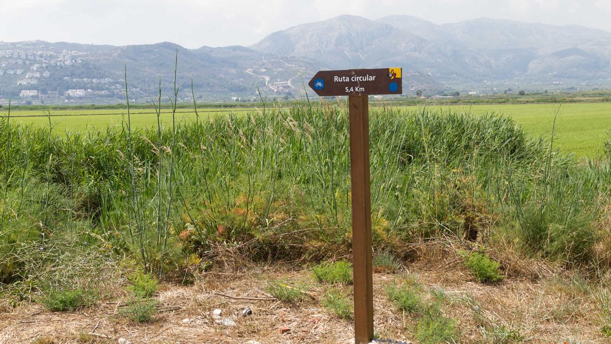 Una imagen del parque natural del Marjal de Pego-Oliva