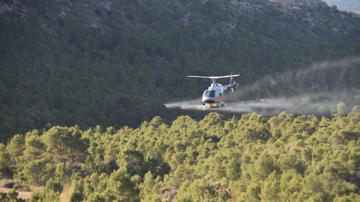 Helicoptero fumigando el tratamiento que se está utilizando en una de las zonas de monte más afectada.