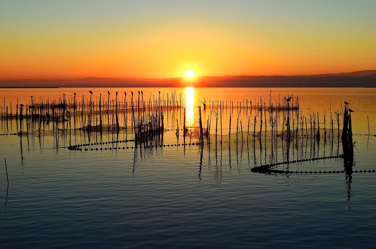Albufera, Valencia