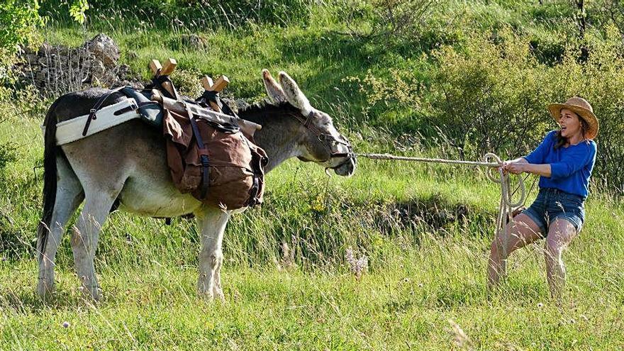 El cicle s&#039;inicia amb Antoinette dans les Cévennes