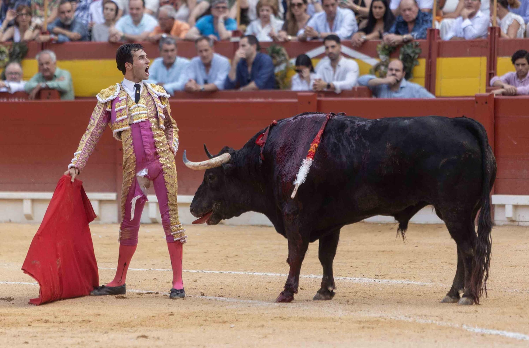 Manzanares, Roca Rey y Navalón no defraudan en la Feria de Hogueras 2025