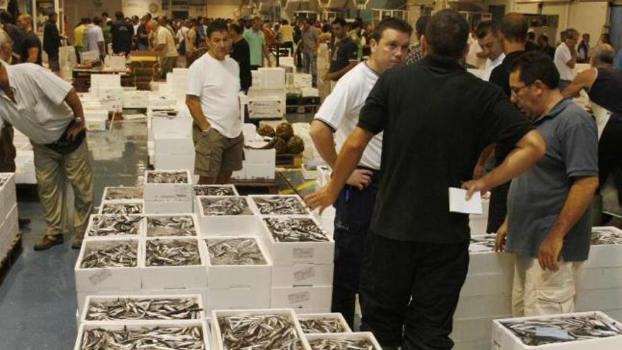 Mercamálaga. Los compradores. La compra de los boquerones para que lleguen a restaurantes, pescaderías y chiringuitos puede realizarse de dos maneras. En la lonja donde llega el pescado que ha sido capturado en la bahía de Málaga y se vende por subasta, o en Mercamálaga. La venta comienza a las cinco de la mañana y termina en torno a las ocho y media. La actividad durante esas horas es frenética. Por los pasillos de la nave pasan miles de personas a la semana. El boquerón que llega a Mercamálaga procede de países como Marruecos, Italia o Grecia y de otras zonas de España como Huelva, Barbate o Huelva.