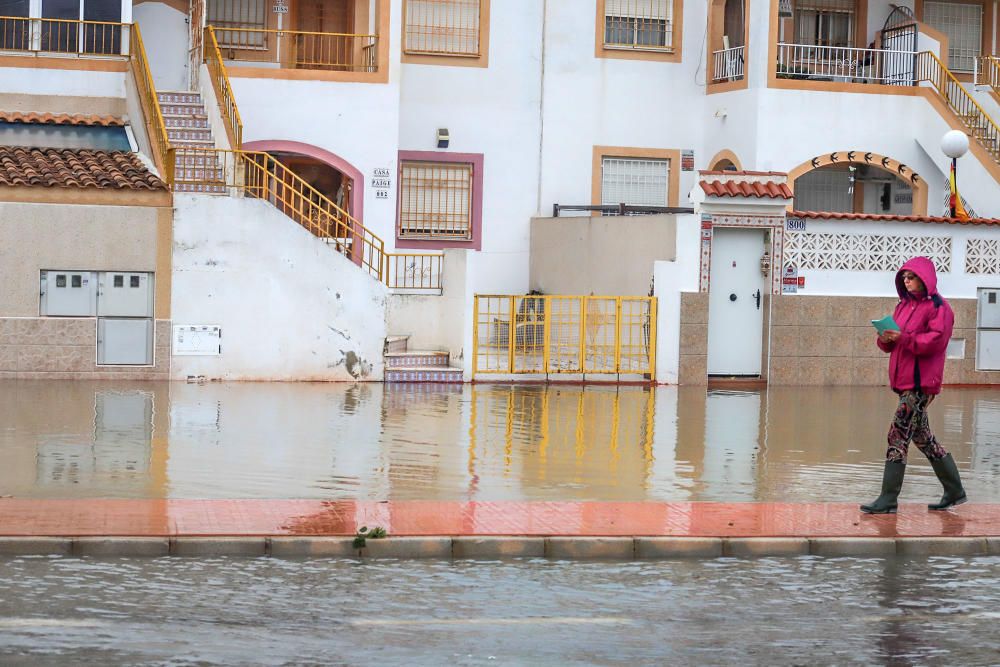 Imágenes de los vecinos retirando agua de las viviendas y las balsas de laminación que no dieron abasto ayer junto a la laguna de Torrevieja