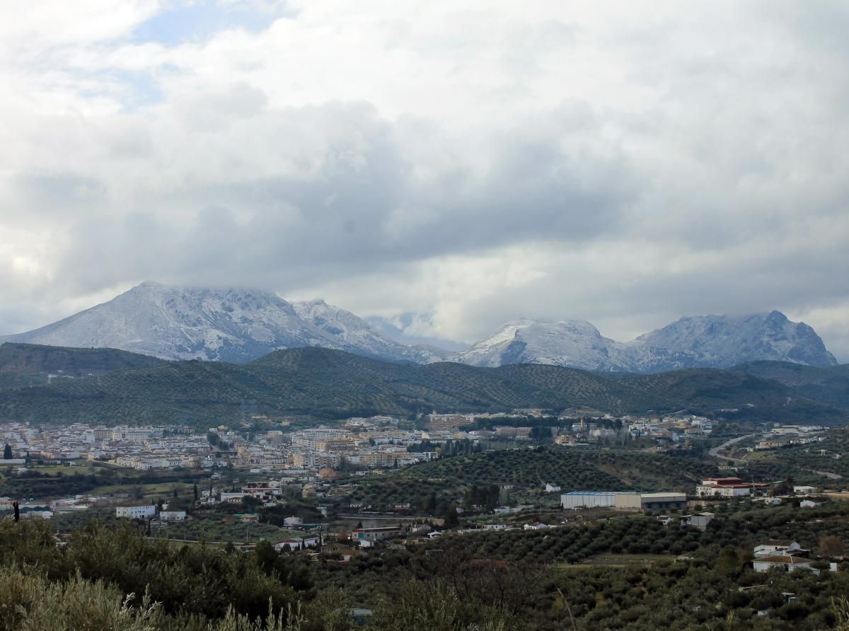 Amanecen nevadas zonas de Los Pedroches y la Subbética