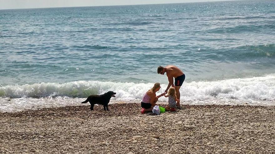 La cala Llanetes, un seguro para los amantes de los animales en la provincia.