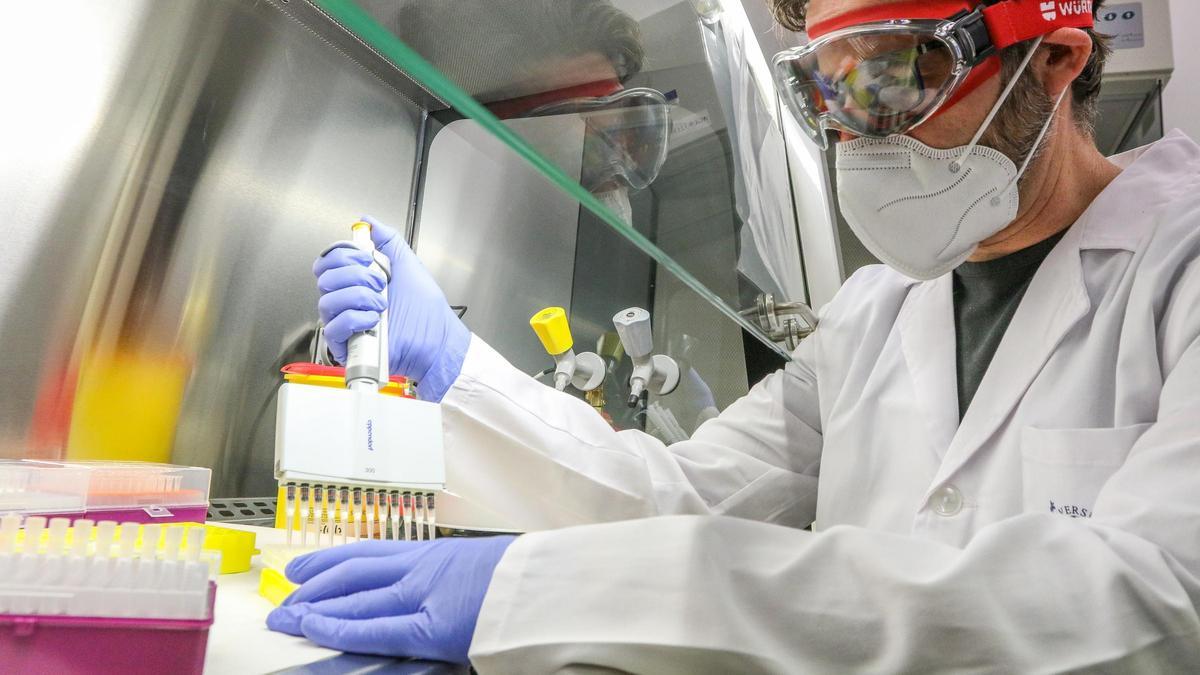 Fase de extracción de muestras de covid en el laboratorio de la Universidad de Málaga.