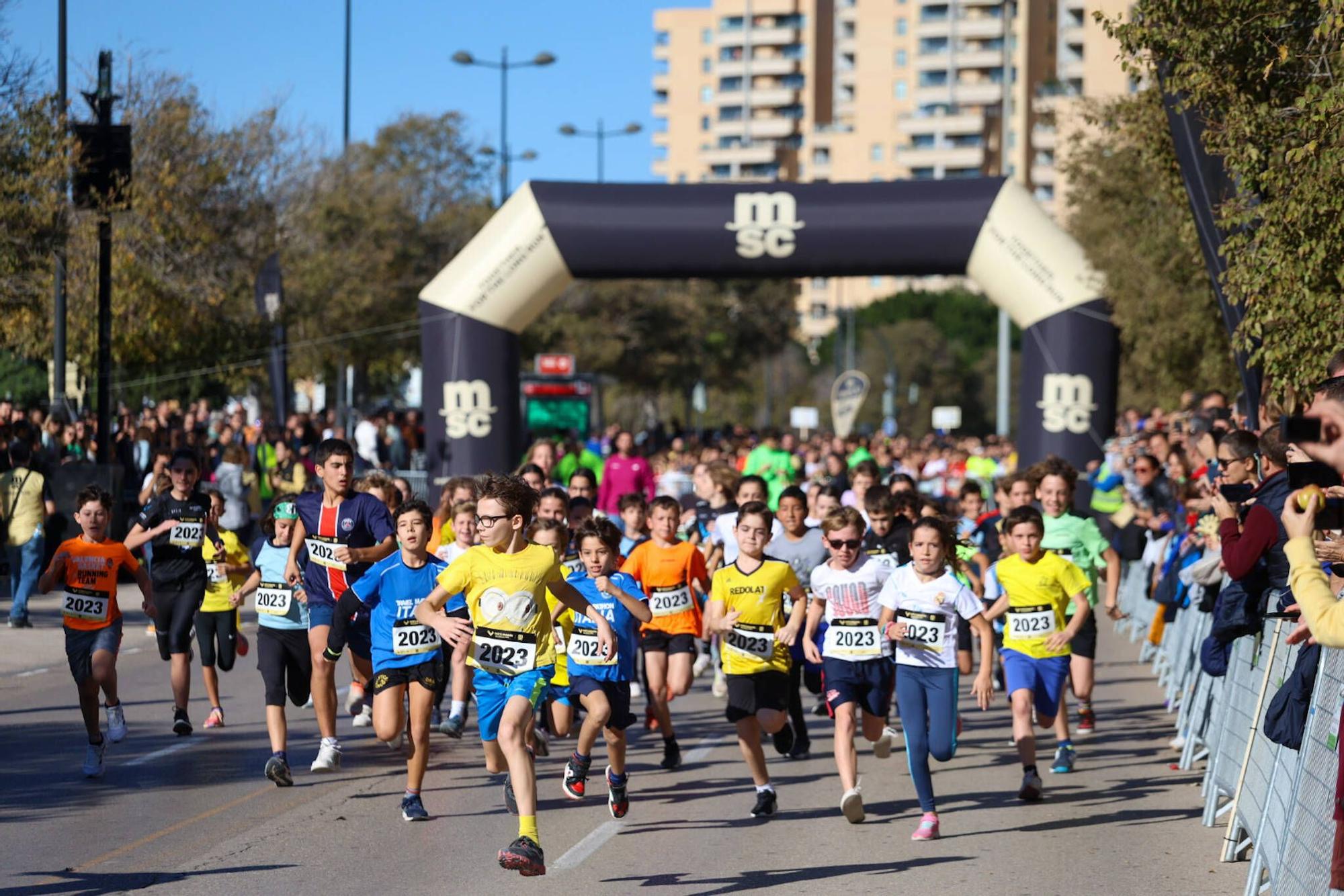 Mini Maratón Valencia MSC