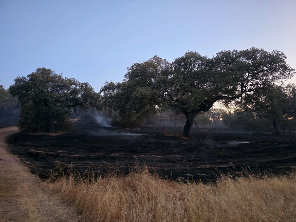 Área arrasada por el fuego en Tres Arroyos, este miércoles.