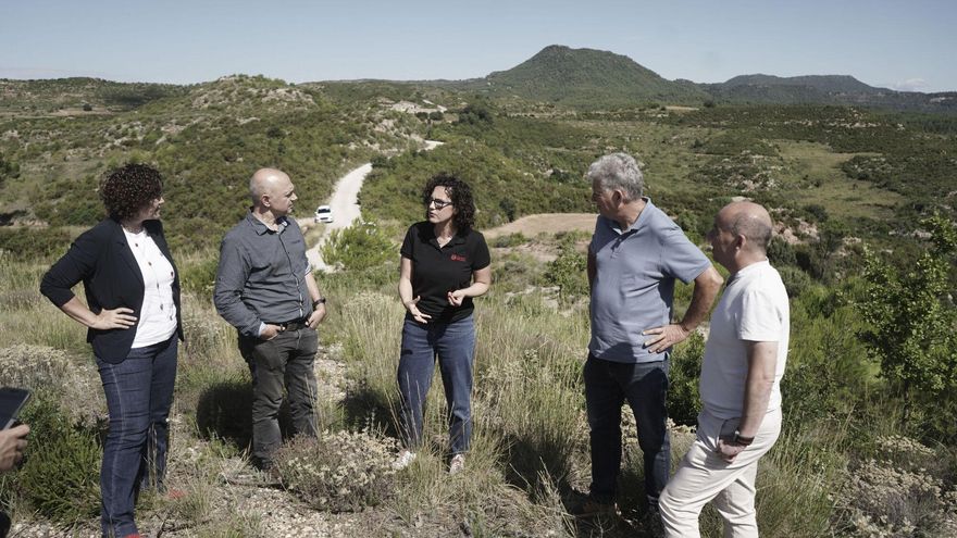 Deu anys després de l’incendi d’Òdena algunes zones no s’han regenerat al complet