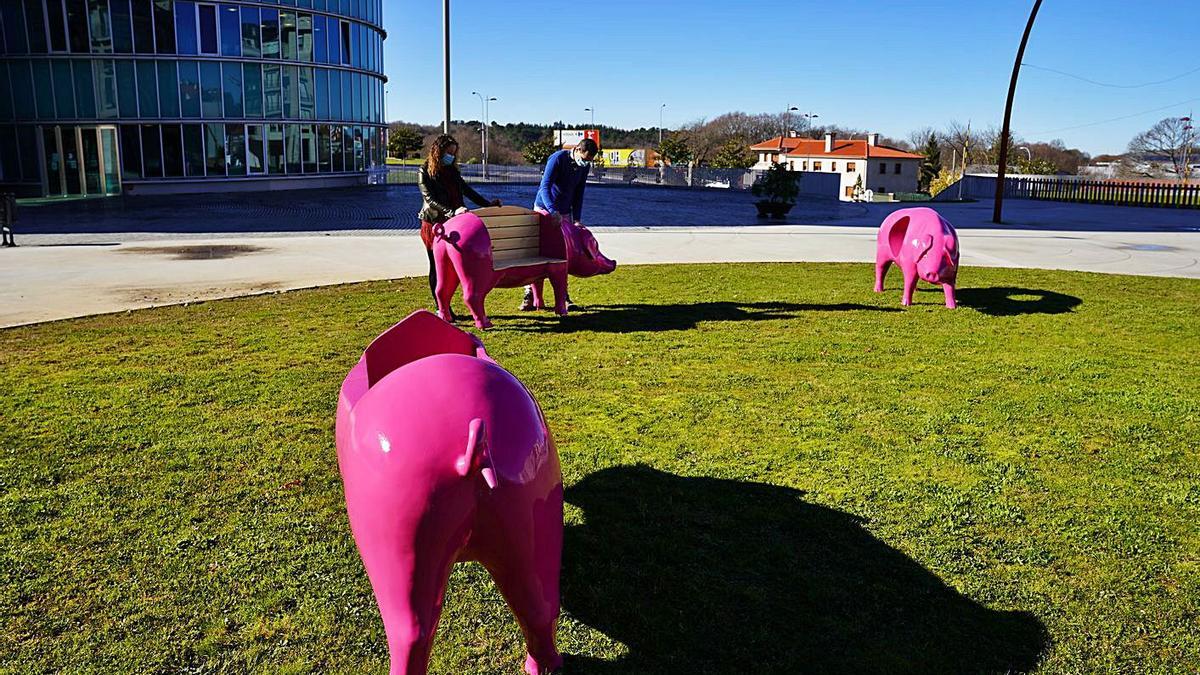La Praza de Galicia luce tres nuevas esculturas porcinas