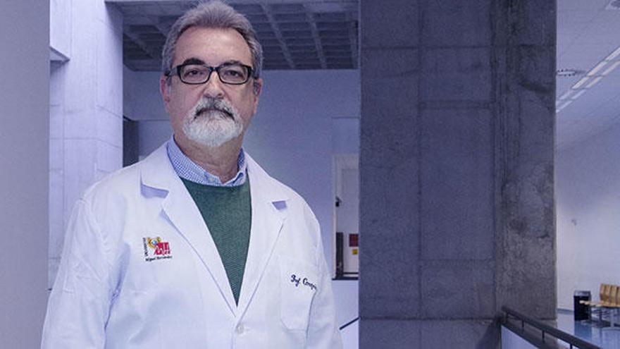 Antonio Compañ Rosique, Decano de la Facultad de Medicina de la UMH