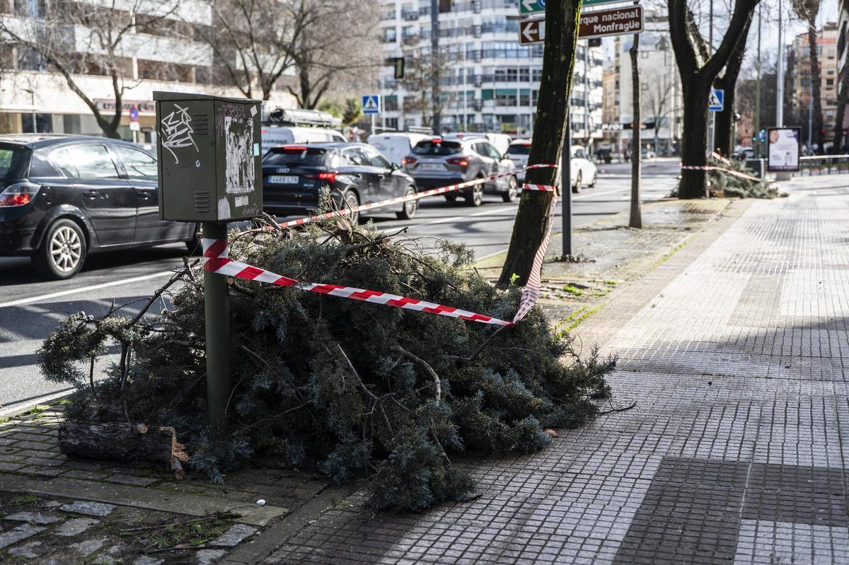 Fotogalería | El temporal en imágenes en Cáceres