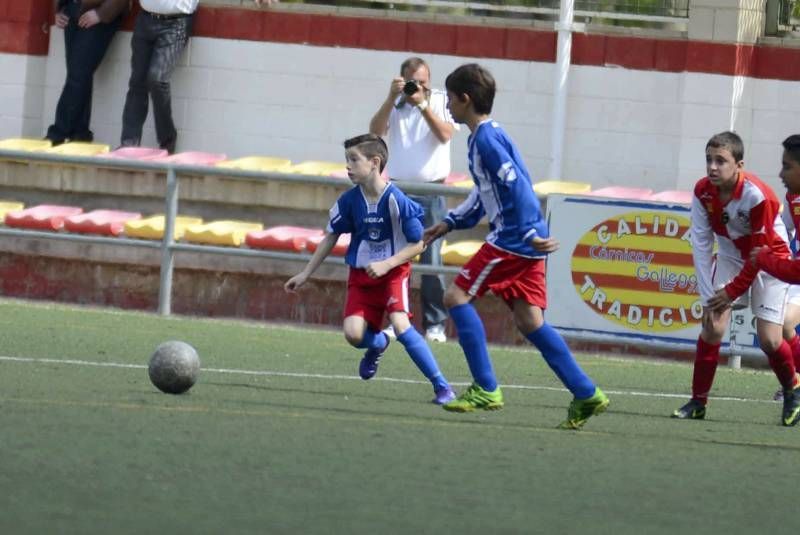 FÚTBOL: Hernán Cortés - San Gregorio (1ª Alevín grupo 2)