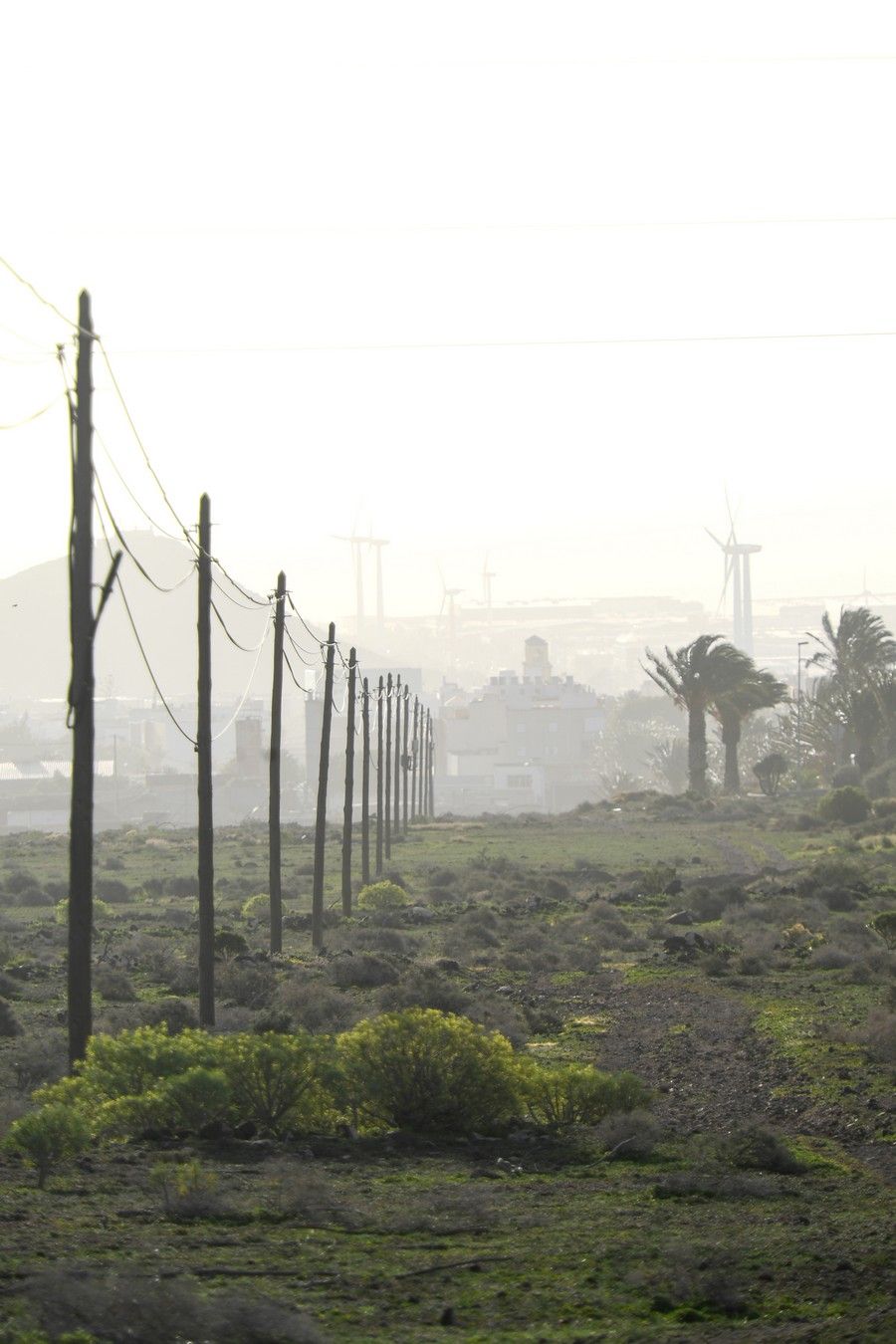 Calima en Gran Canaria (15/02/2021)