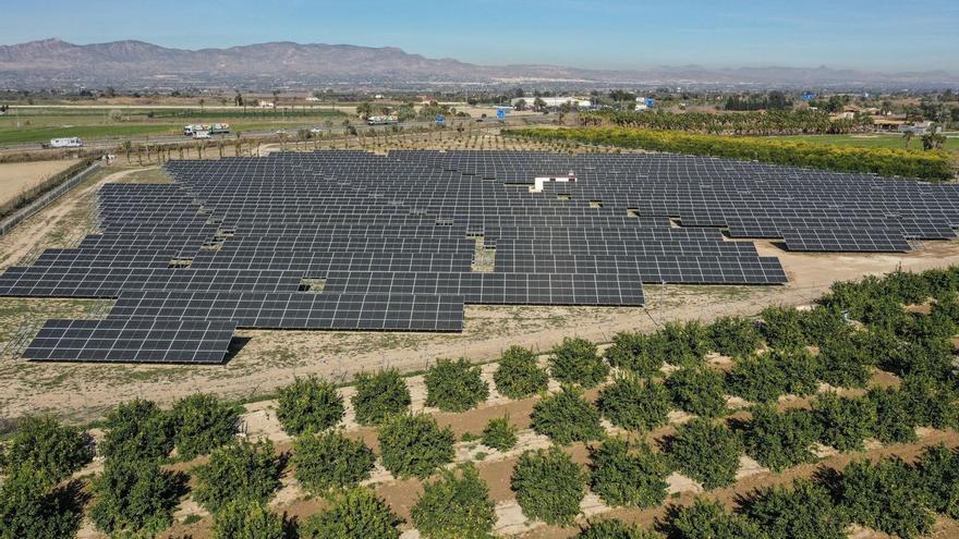 Planta solar de Catral, una de las pocas construidas en la Vega Baja en los últimos años. | TONY SEVILLA