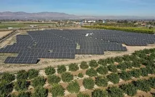 Los parques solares ofrecen 3.200 euros por hectárea al año en el alquiler de suelo de regadío