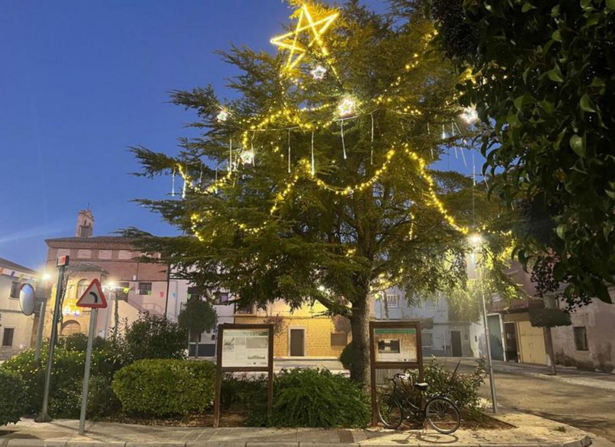 El encendido del árbol fue el 5 de diciembre.   | SERVICIO ESPECIAL