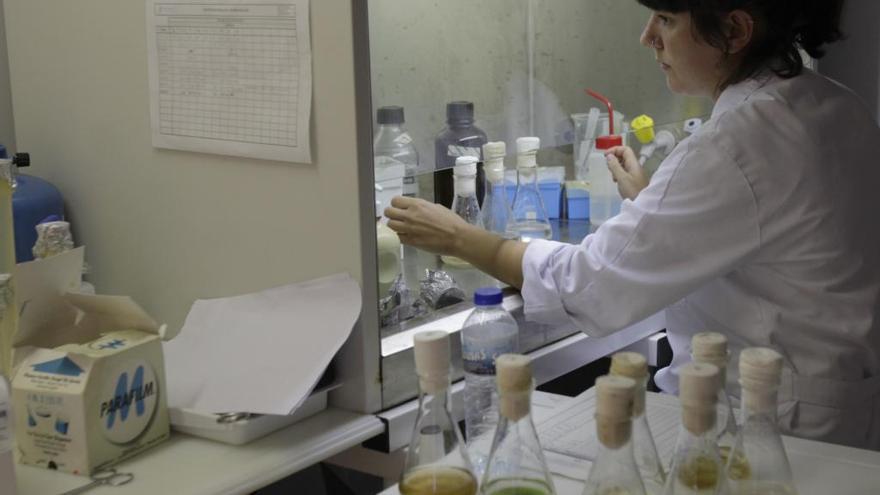 Investigadores trabajando en la Estación de Ciencias Marítimas de Toralla (Ecimat).