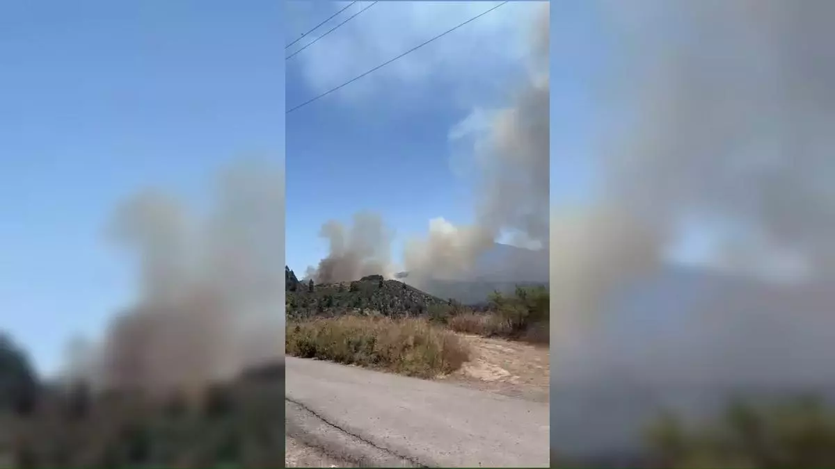 Incendio en Tenerife: Rosa Dávila pide no bajar la guardia porque la situación del conato puede cambiar "en minutos"