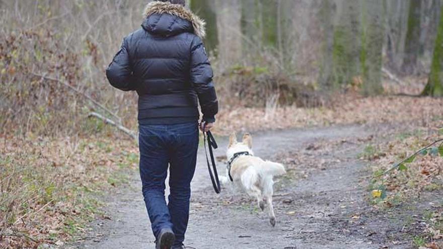 La paciencia y los animales