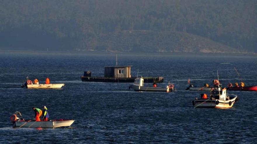 Marisqueo a flote en Os Lombos do Ulla, ayer. // Iñaki Abella