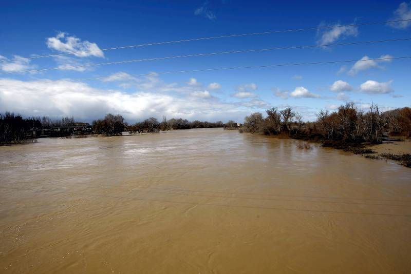 Fotogalería de la crecida del Ebro