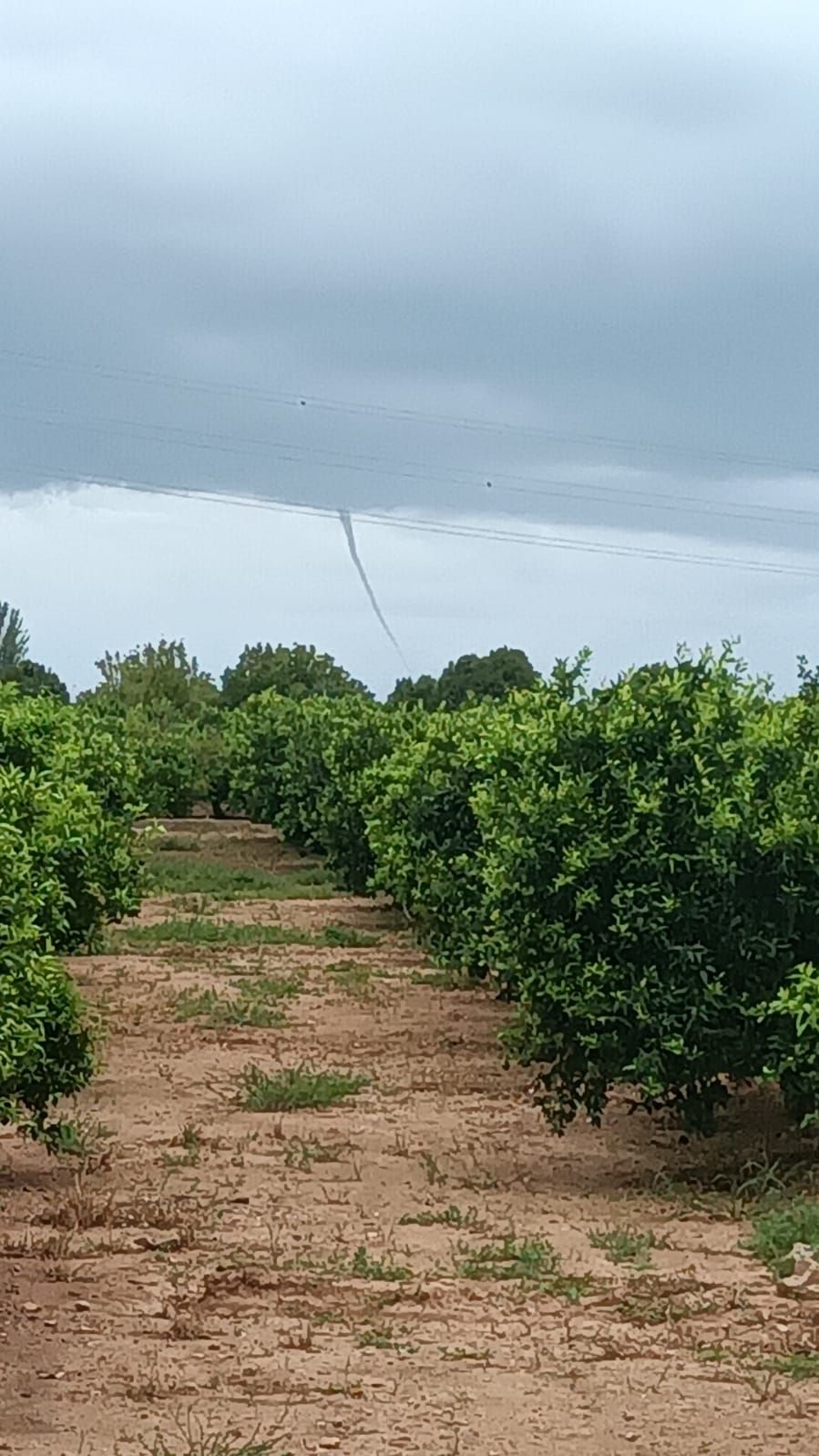 DANA en Castellón: una gran tuba marina en la costa castellonense