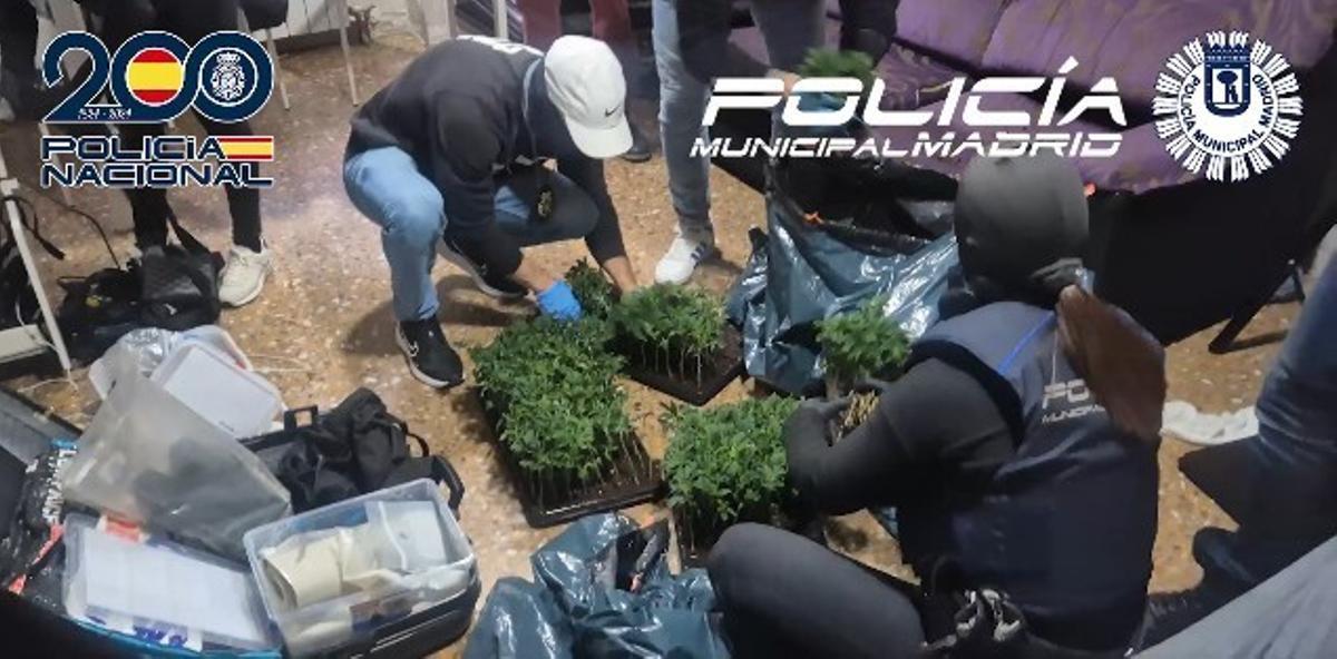 Un operativo conjunto de Policía Nacional y Policía Municipal de Madrid logra desmantelar cuatro narcopisos en Vallecas y Centro