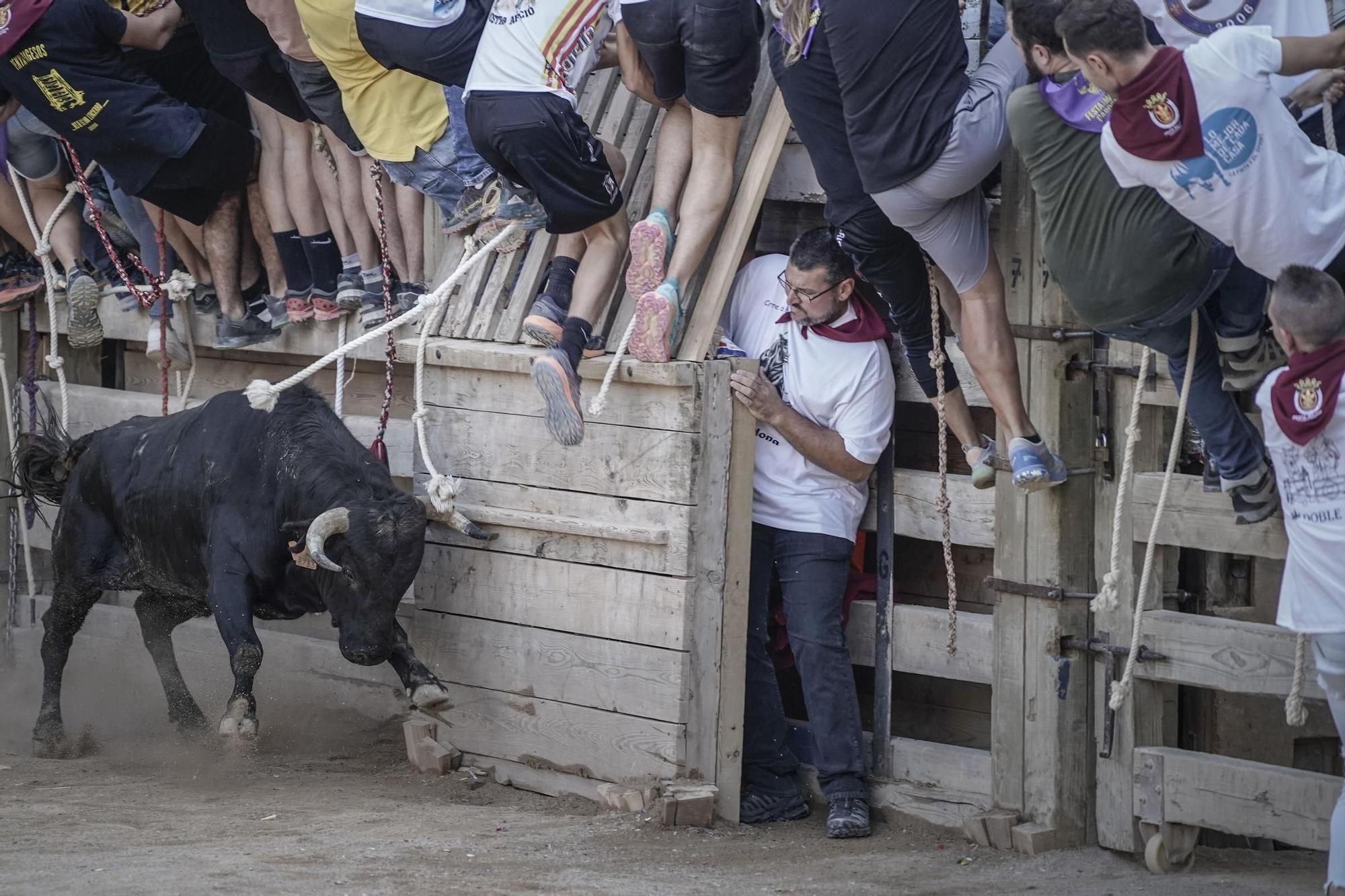 Correde bou de Cardona: imatges de la segona jornada