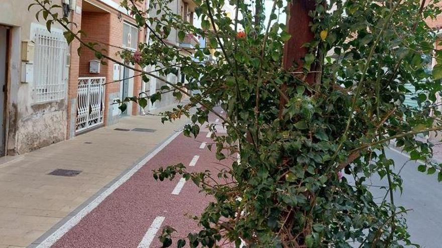 El PSOE de Alcantarilla denuncia el abandono del carril bici del barrio de Las Tejeras