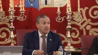 Faúndez defiende los desbroces perimetrales: "Por encima de un árbol está la seguridad de las personas"