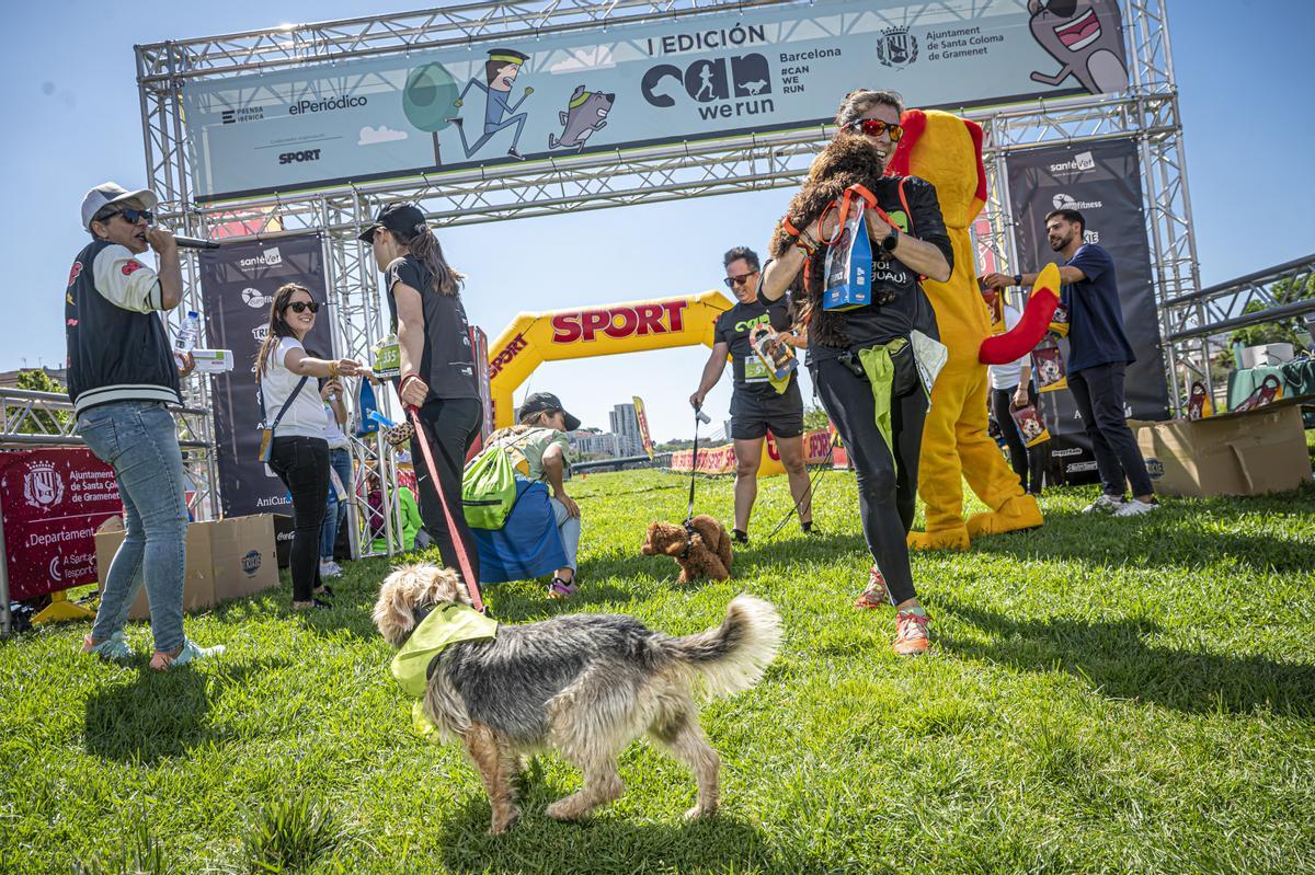 CAN WE RUN BARCELONA. La carrera organizada por Prensa Ibérica y El Periódico de Catalunya con la colaboración de Sport ,  donde las personas y sus mascotas perrunas corren en familia