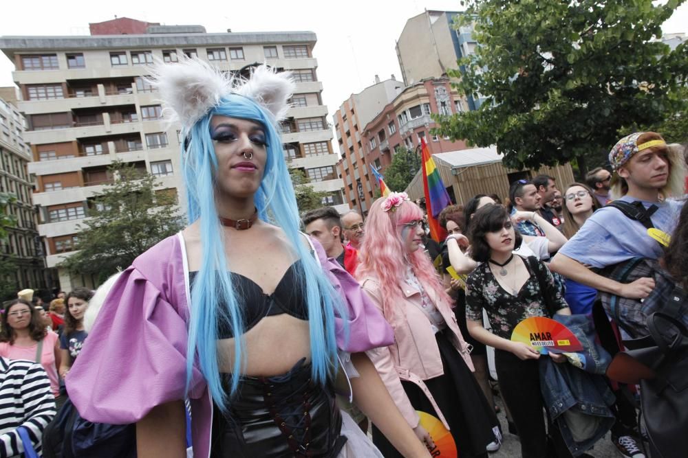 Manifestación del Orgullín del Norte.