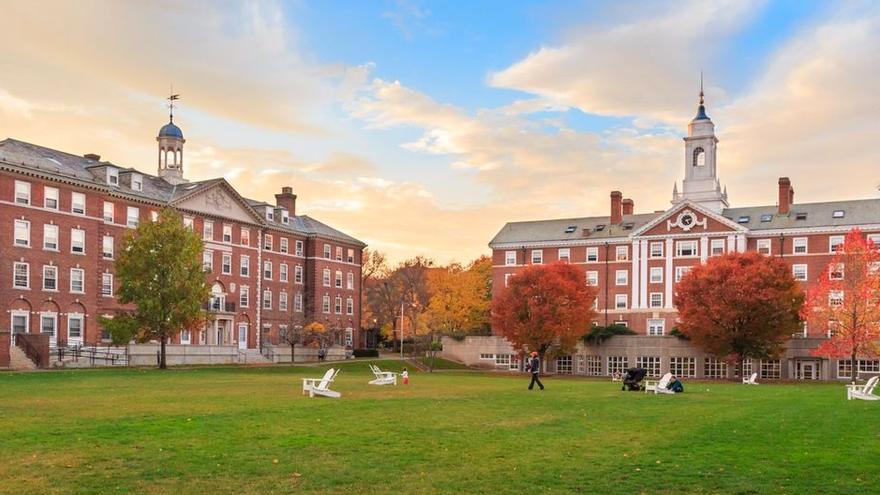 Tres alumnas demandan a la Universidad de Harvard por ignorar sus denuncias de abusos