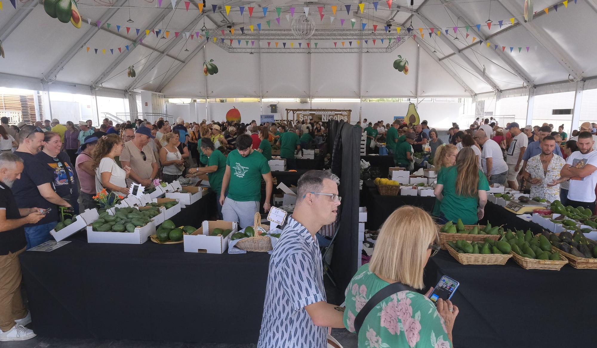 04-11-2024 MOGÁN. IX Feria del Aguacate de Mogán, en Arguineguín  | 01/12/2024 | Fotógrafo: Andrés Cruz