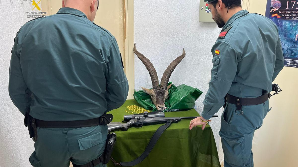 Se les ha intervenido el arma larga utilizada y la cabeza del animal abatido