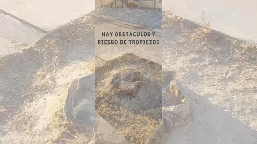 El CEIP Hermano Marx reclama la reposición de árboles en sus patios