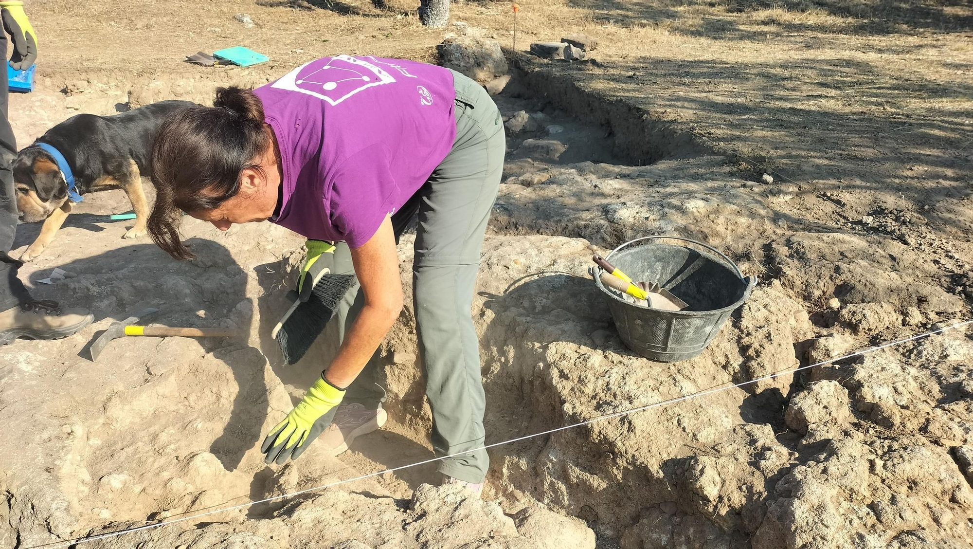 GALERÍA | Excavaciones en El Viso