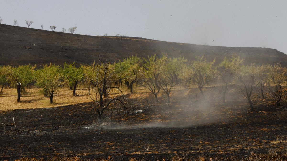 Estado tras el paso del fuego cerca de Moros