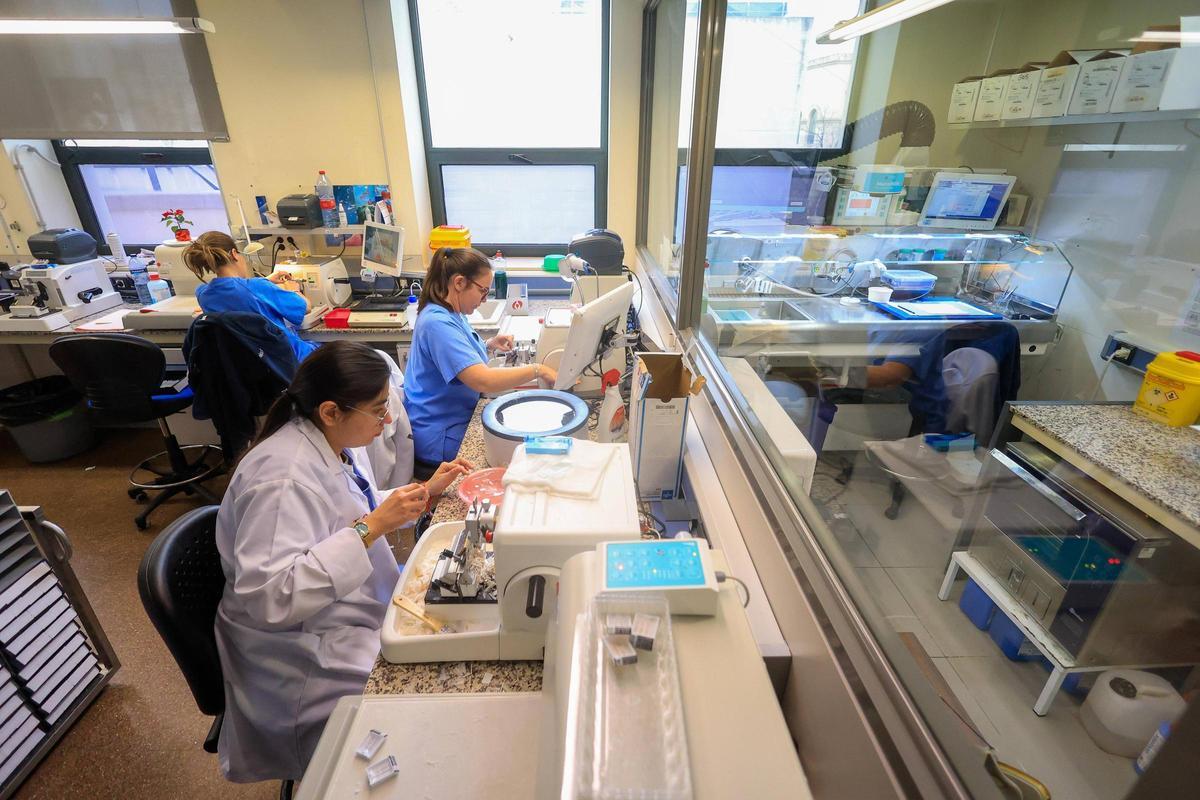 Técnicas laminando las muestras de biopsias o citologías en el hospital Clínico de València.