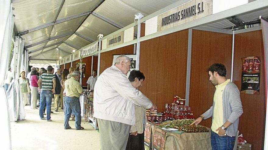 Abren el plazo del concurso de carteles de San Miguel de Navalmoral