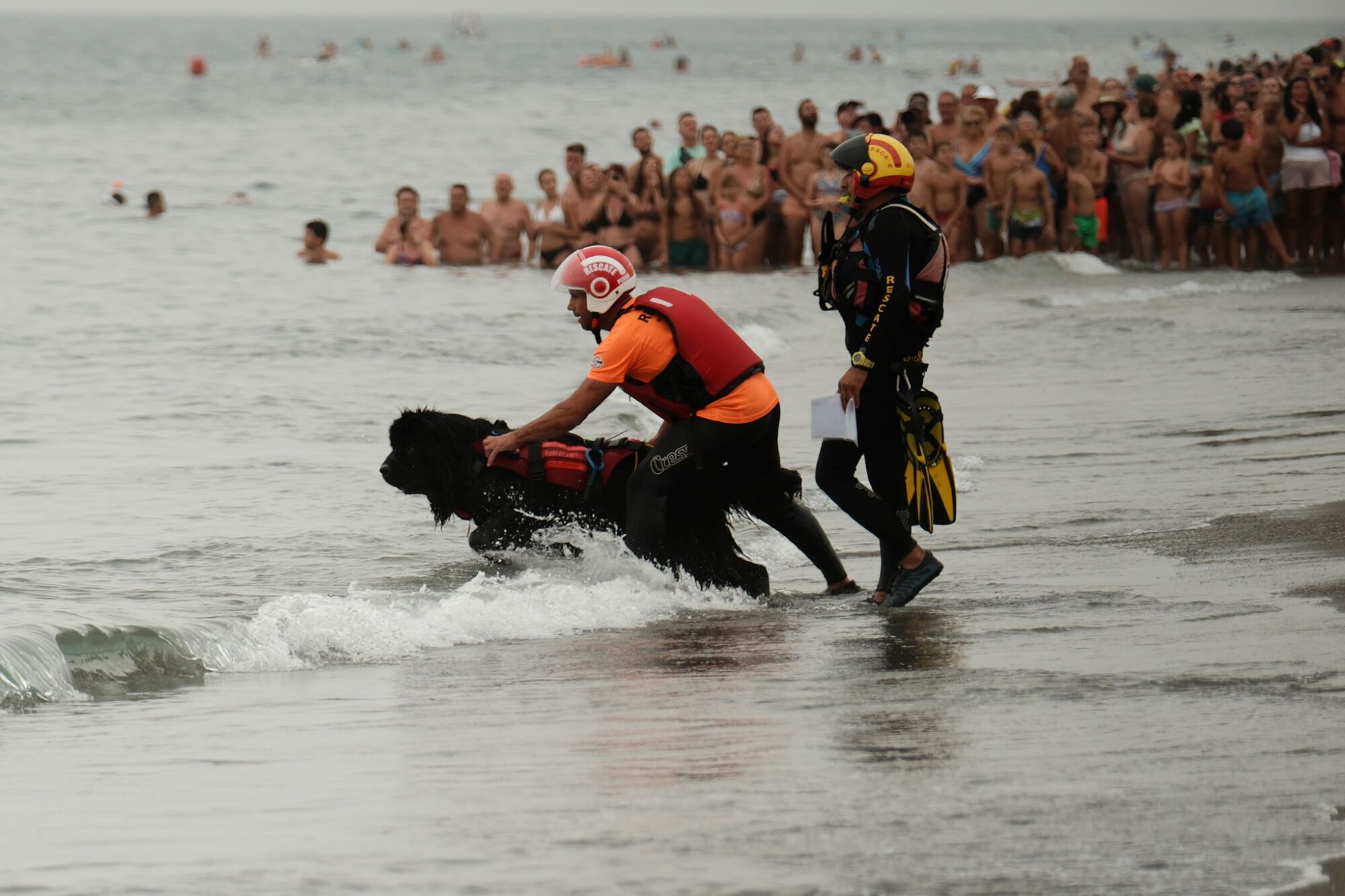 Última jornada del X Festival Aéreo Internacional de Torre del Mar 