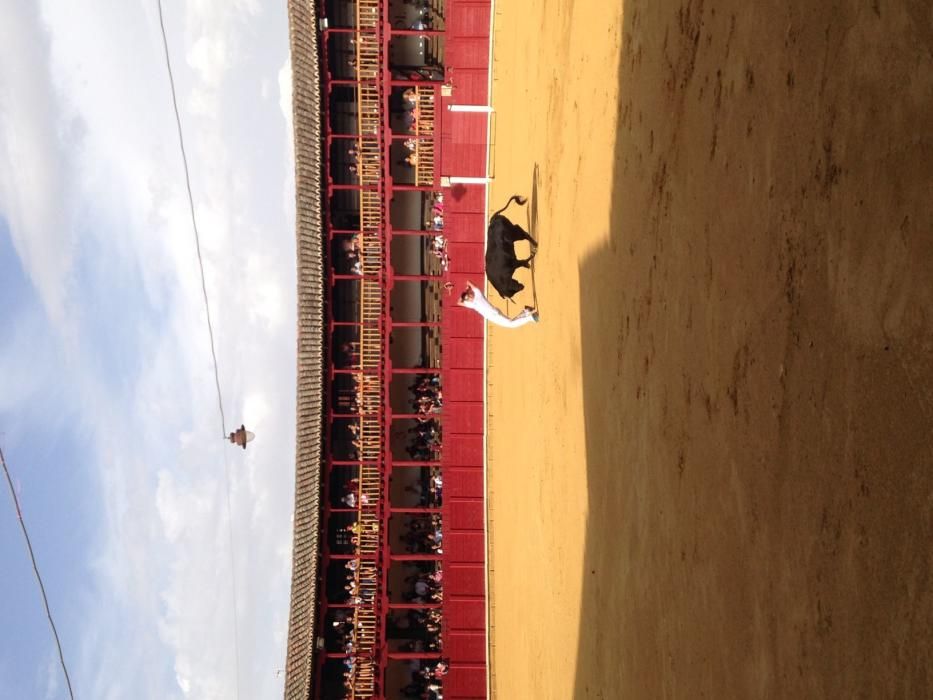 Fiestas Toro- concurso de jóvenes cortadores