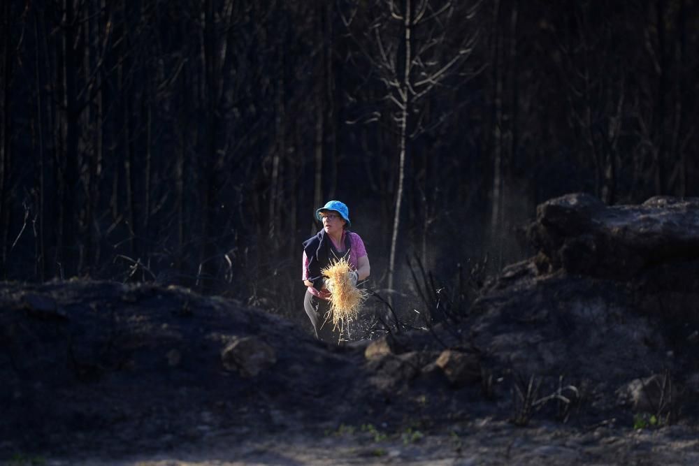 Incendios en Galicia | Paja en Ponte Caldelas