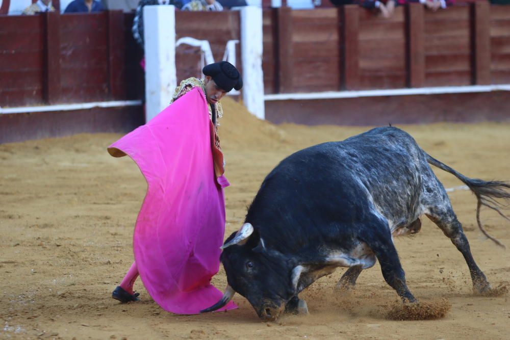 Toros | Novillada de la Feria Taurina de 2018