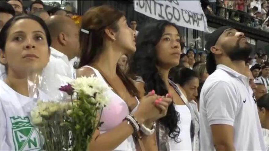 Miles de personas corean en el estadio de Medellín el himno del Chapecoense